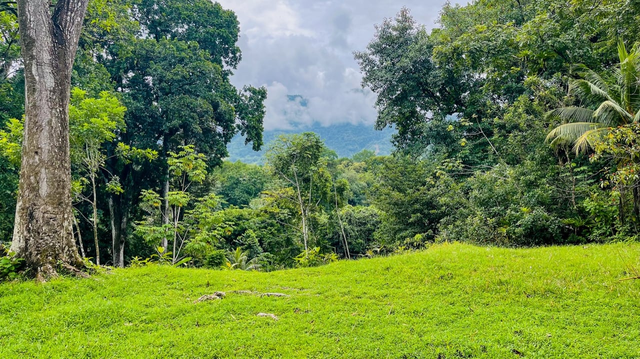Income Property for Sale in Ojochal: A Legacy Acreage in the Heart of Town