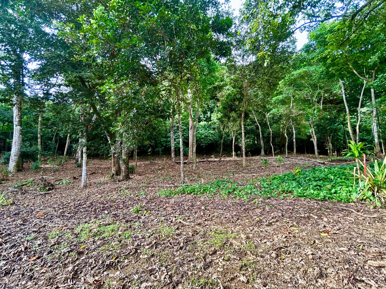 Tawal Lots for Sale – Prime Commercial & Residential Opportunity