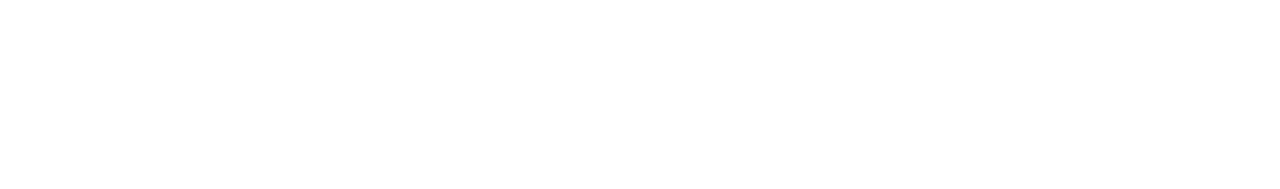 Light Logo