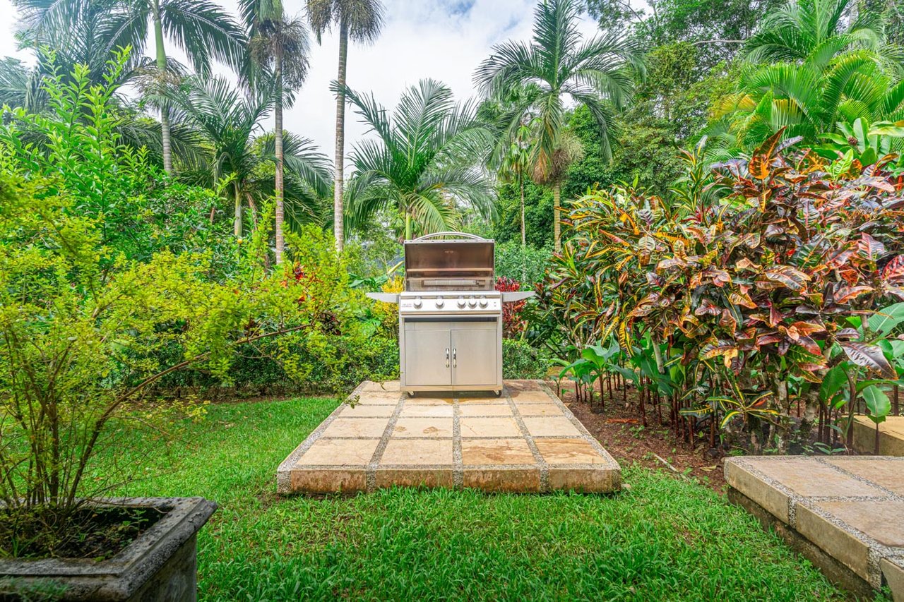 Ocean, jungle & mountain views on a meticulously landscaped 3-home family compound