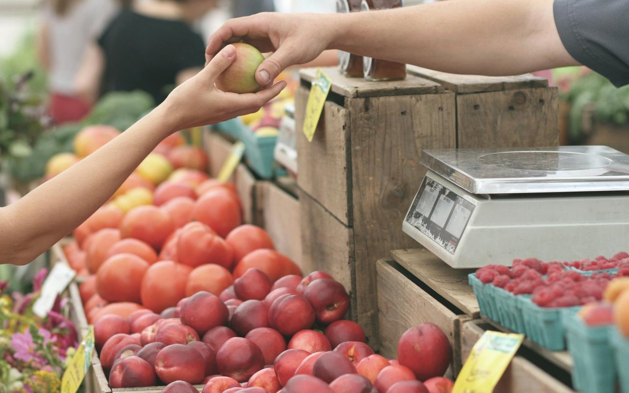 Boyne City Farmers Market