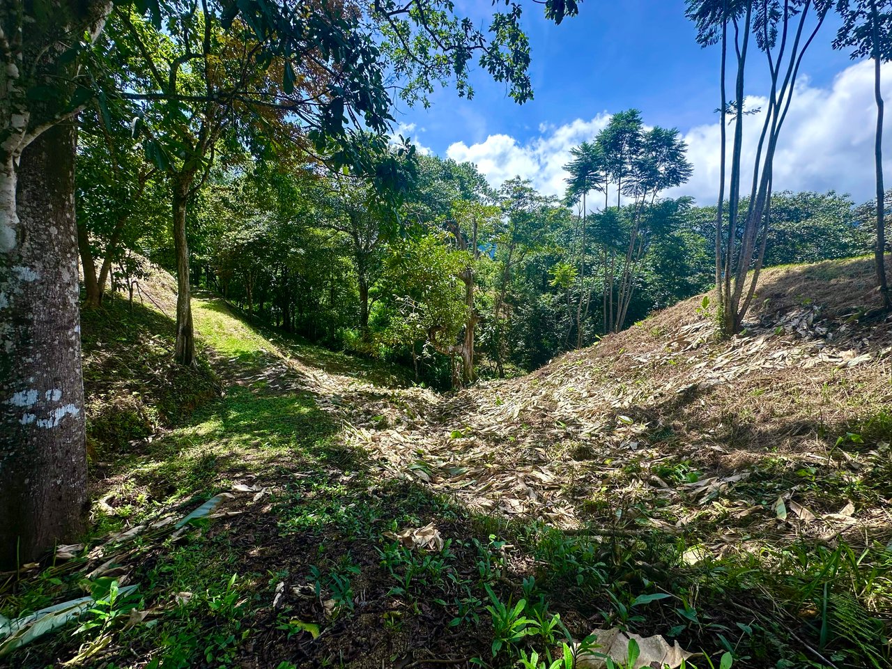 Build-Ready Lot in Ojochal’s Calle Cacique | Easy Access & Stunning Mountain Views