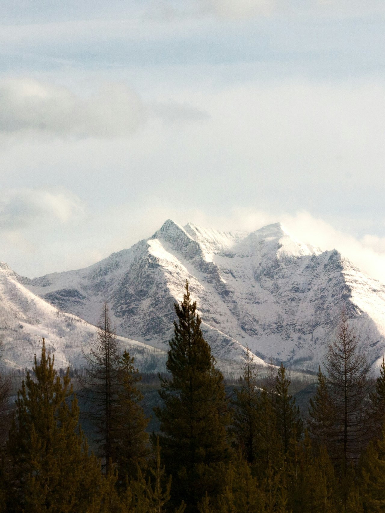 Image Form