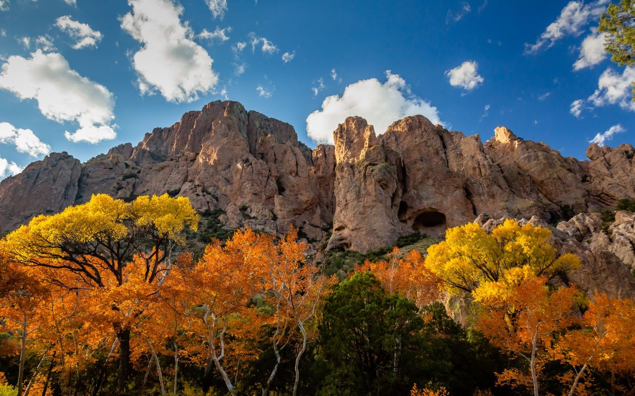 Cave Creek