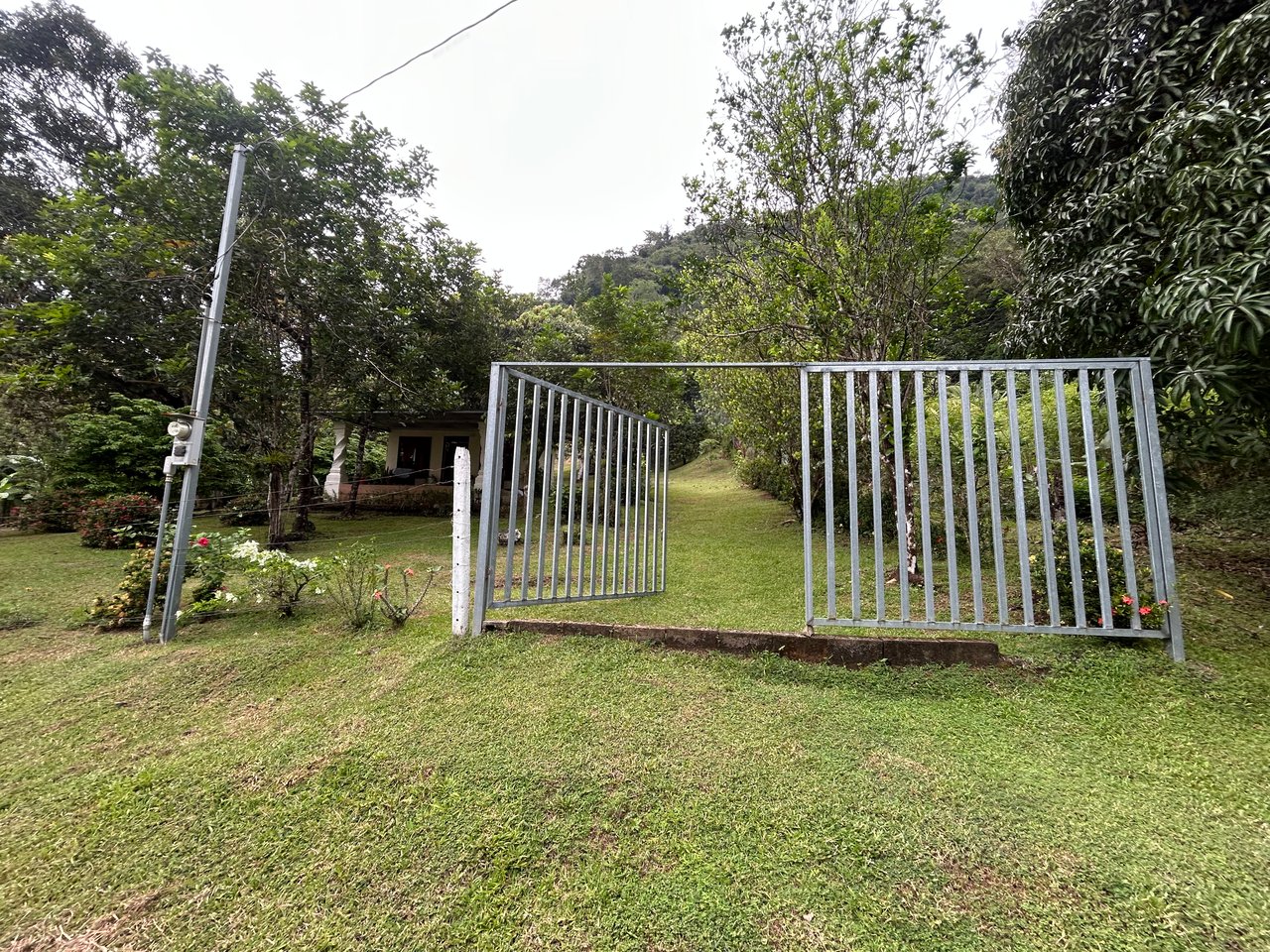 Commercial & Residential Property in Punta Mala with Producing Fruit Trees