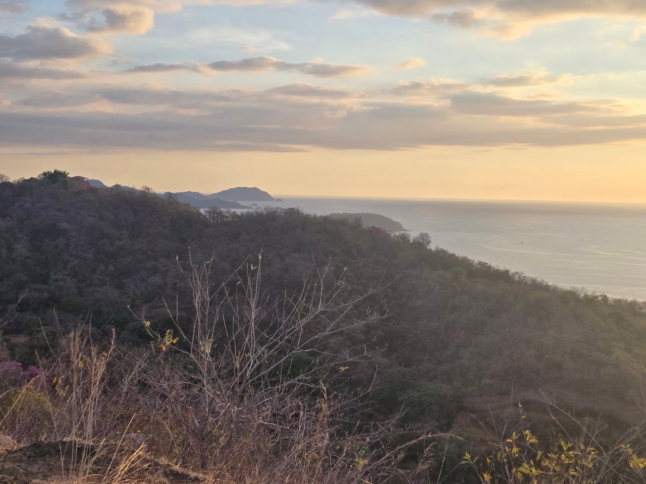 Vista Miramar Estate Lot, Pacific Heights