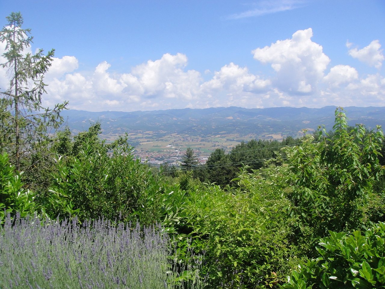 Two Story Villa with Garden