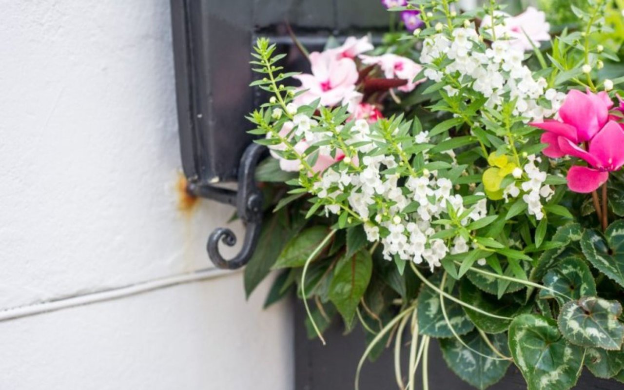 Lowcountry Living – Charleston March Events