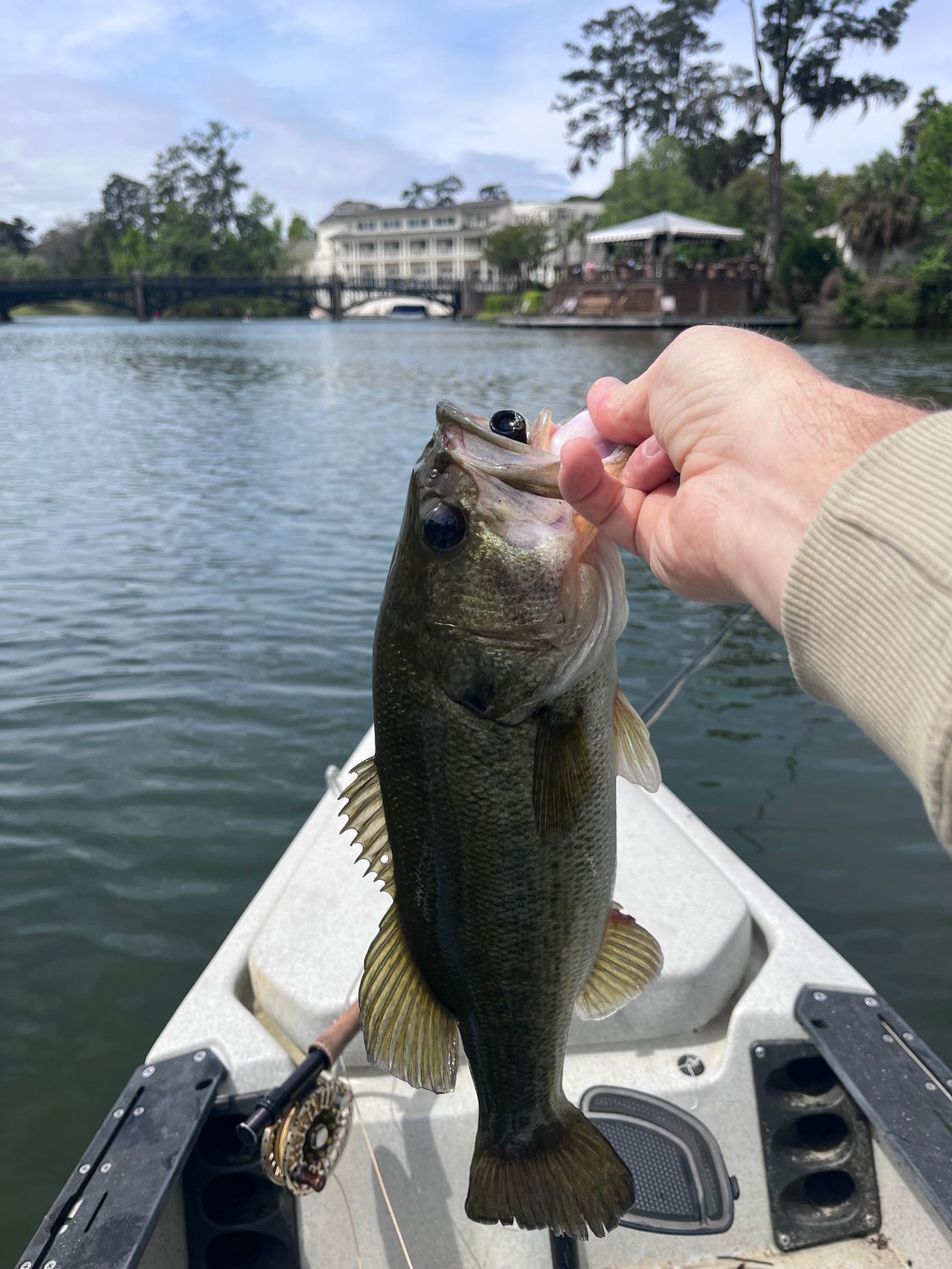 Bass Fishing in Palmetto Bluff: A Spring and Summer Tradition