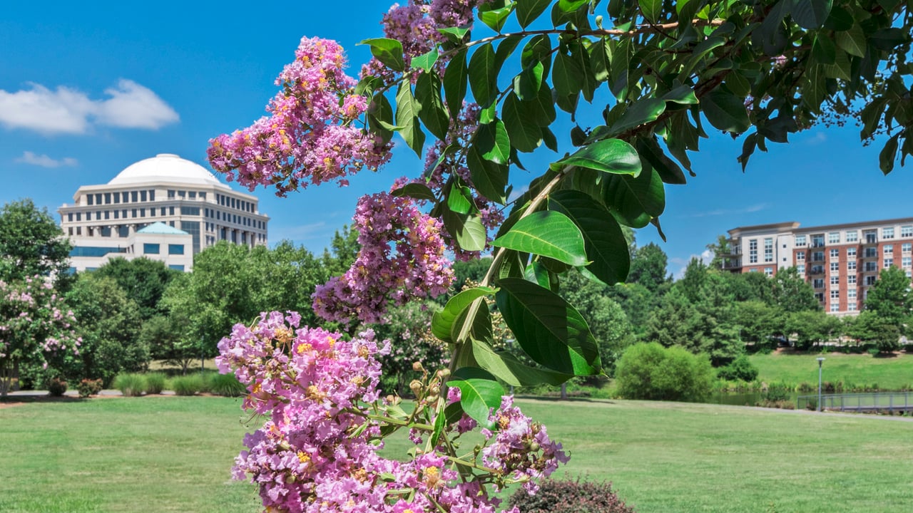 SouthPark - Charlotte, NC