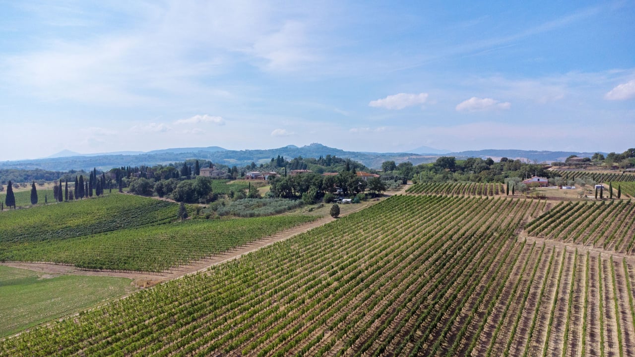 AZIENDA VITIVINICOLA ASCIANELLO