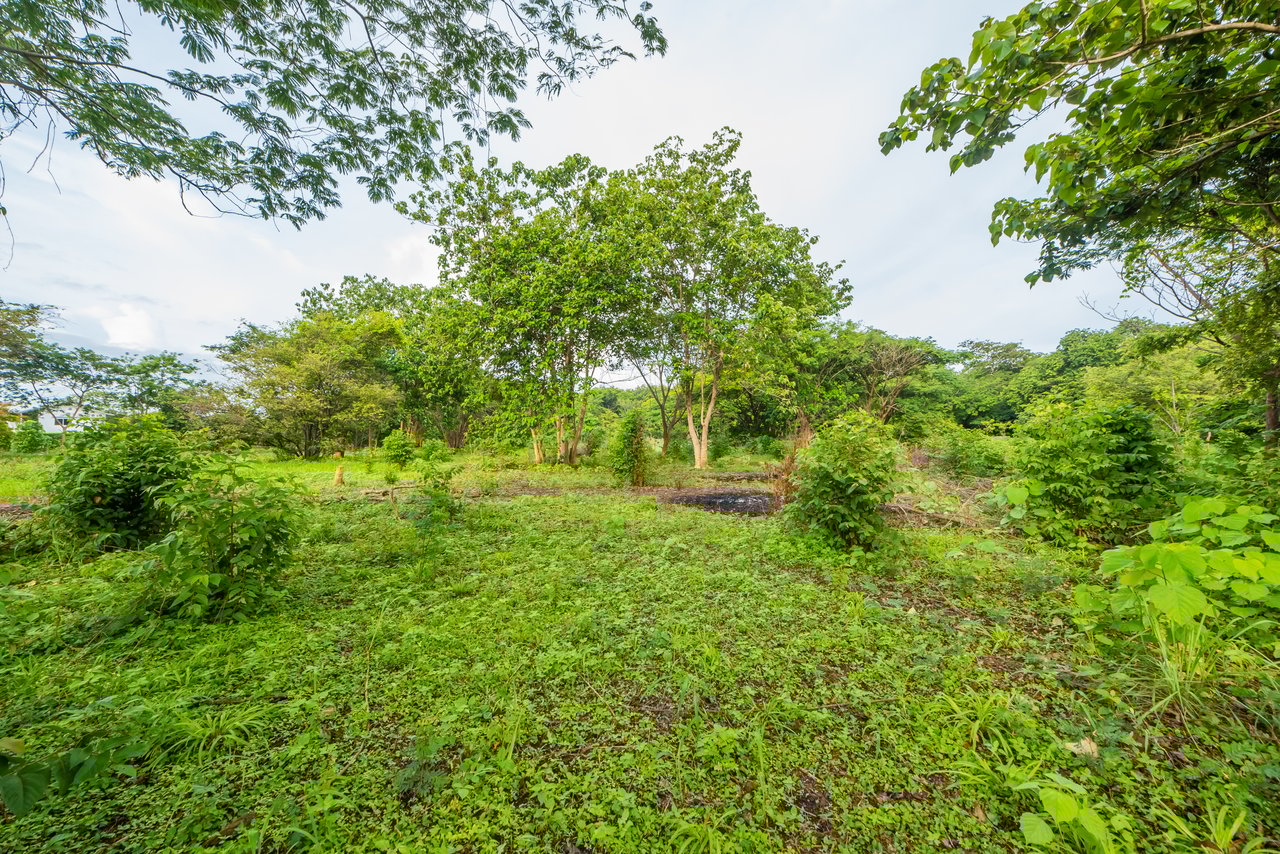 La Garita de Tamarindo Lot |1.3-Acre Home Site Near Top Beaches, Private, Scenic, and Well-Located