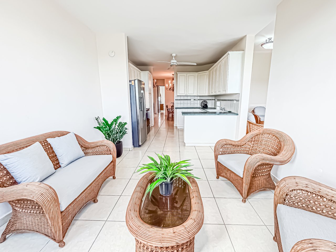 Royal Palm B-502