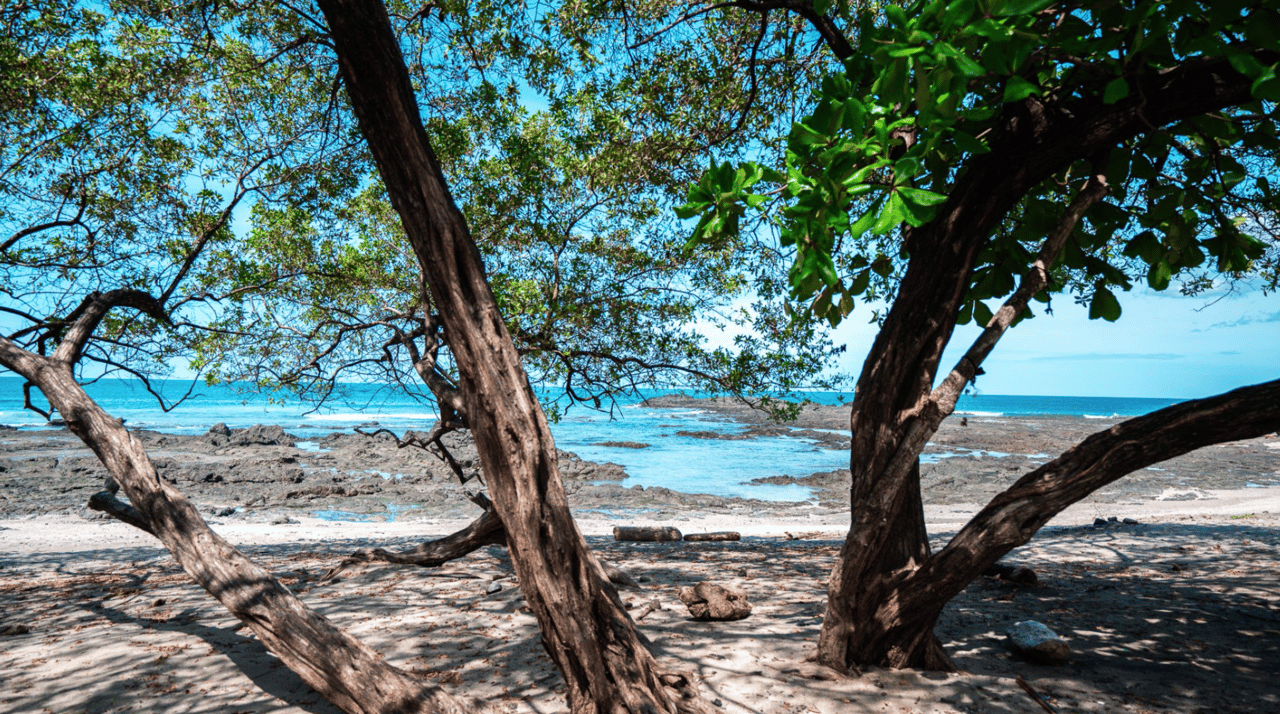 Exclusive 13 Acre Titled Beachfront Estate - Playa Junquillal