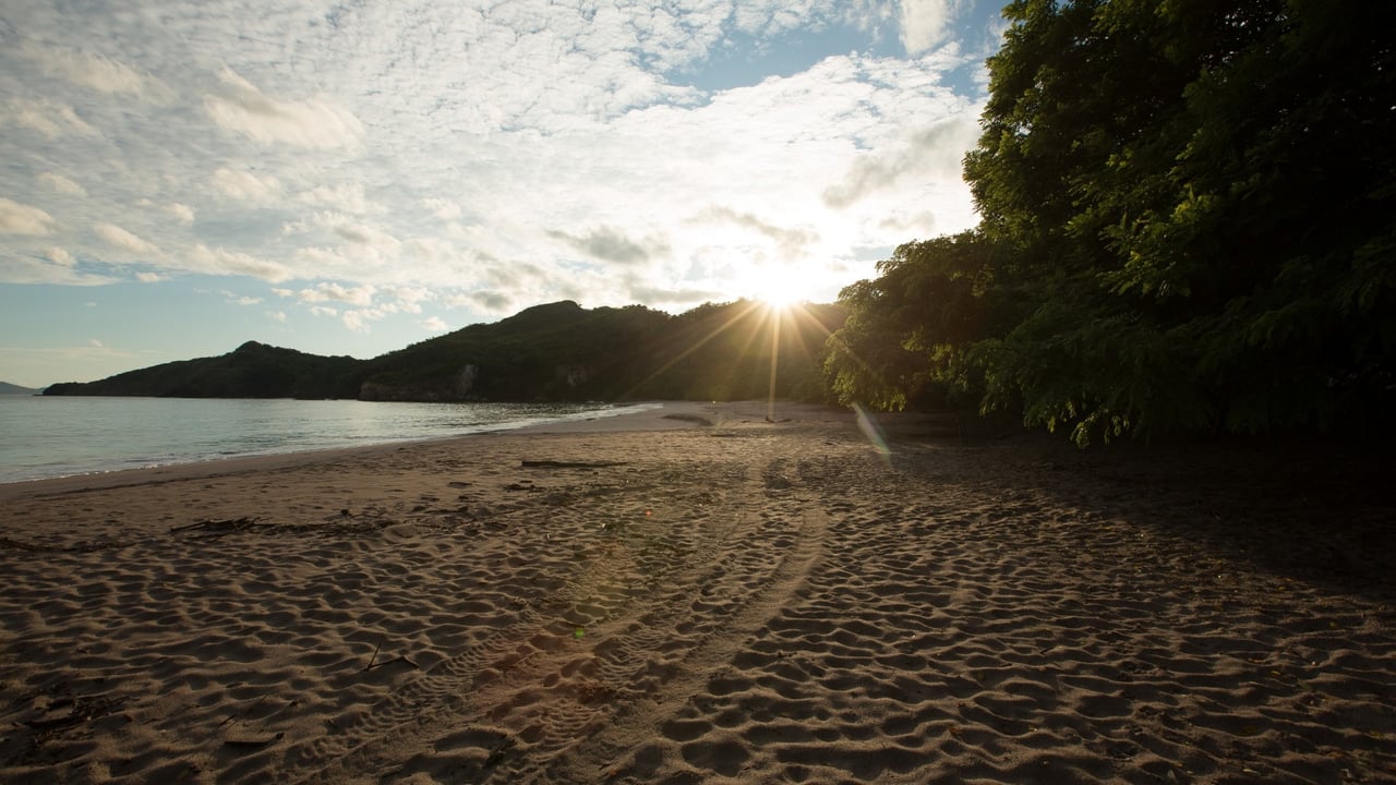 Punta Sabana & Mar Serena - Private Beachfront Land for Development