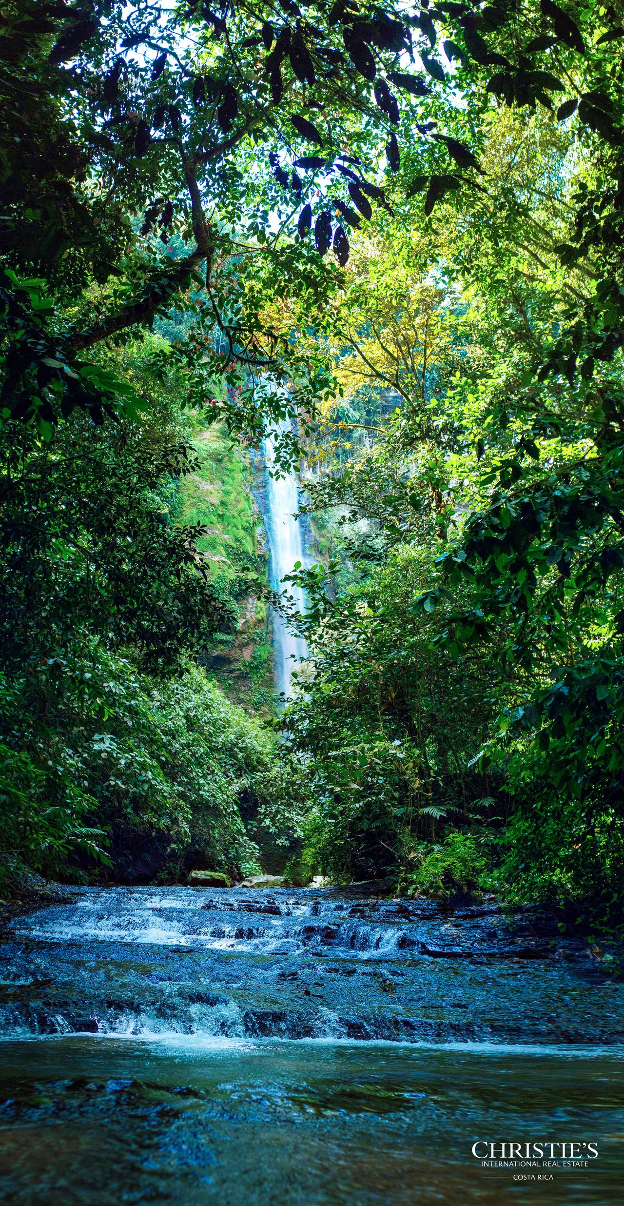 El Encanto Estate a Legacy Property, Waterfall Regenerative Land and Carbon Neutral Sanctuary