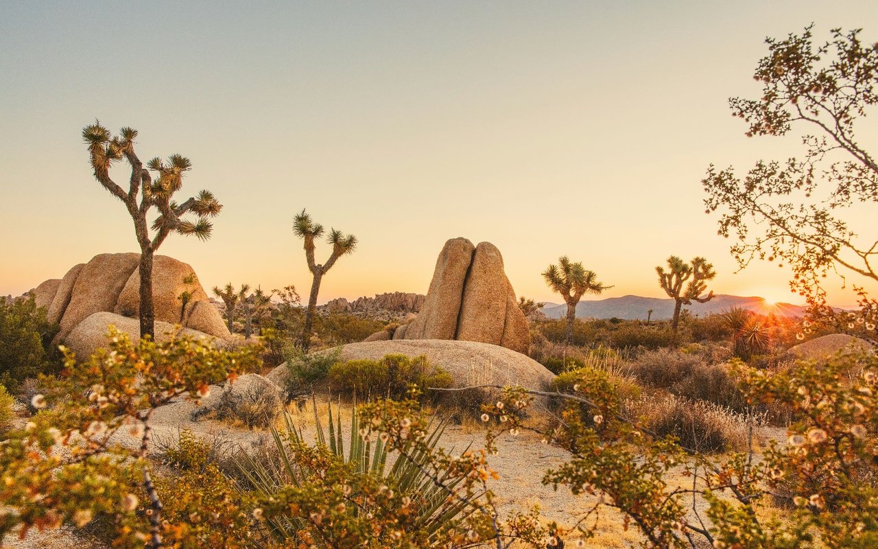 Curious about Rancho Mirage and Palm Desert?