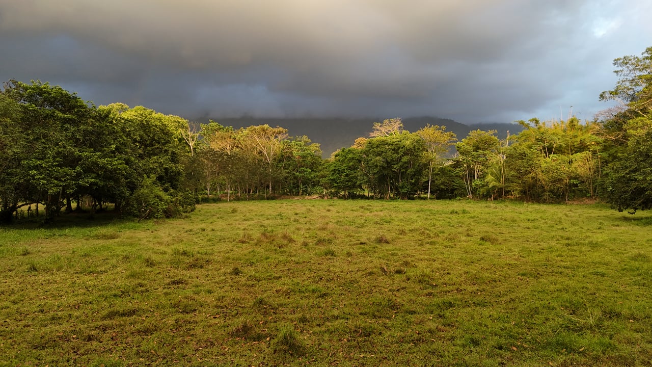 Over 5 Acres Farm in San Buenas