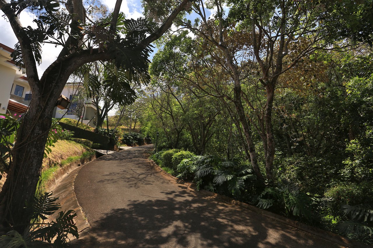 Panoramic View Terrace Residence, Ciudad Colon, San Jose