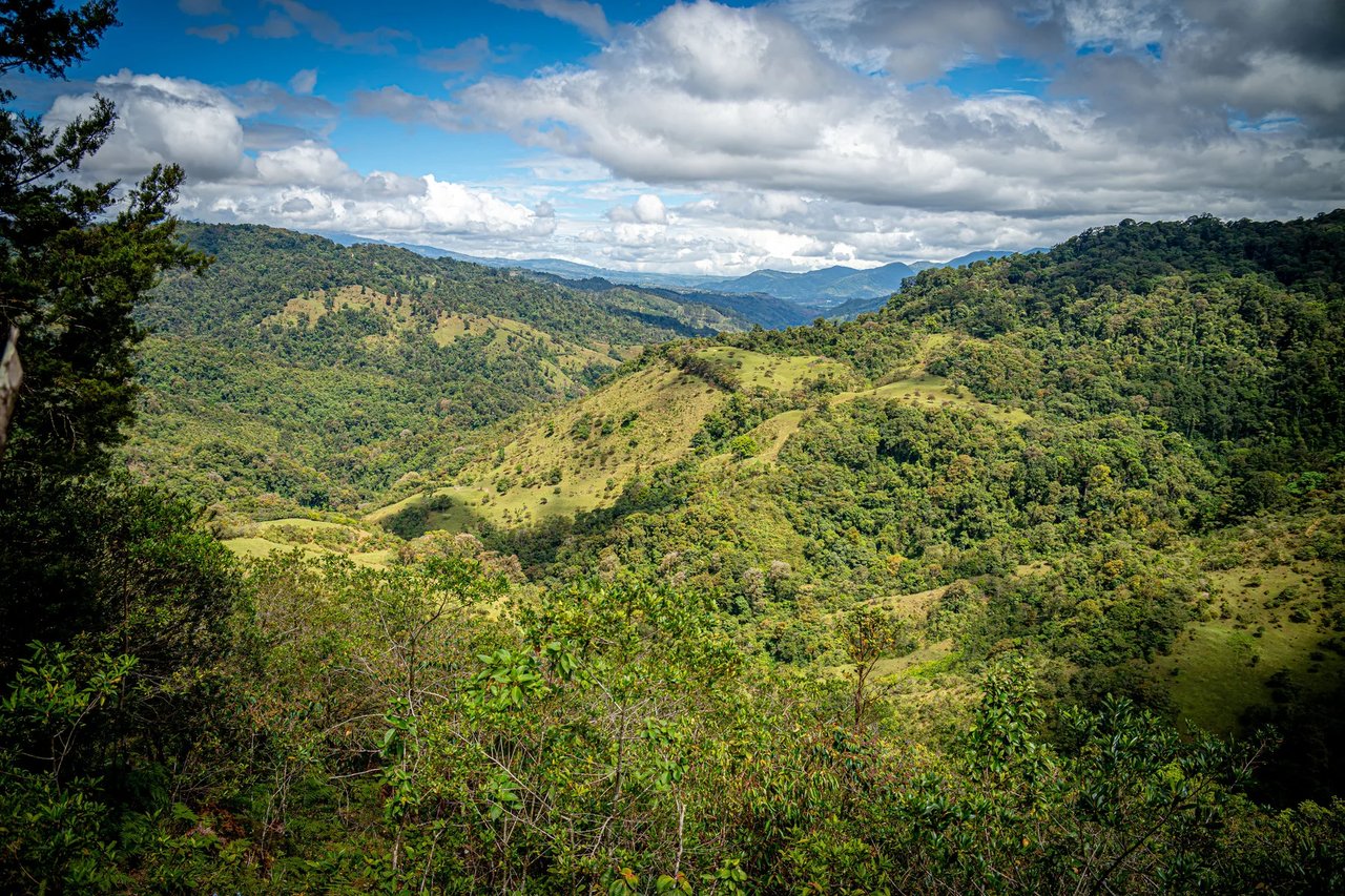 Sustainable Mountain Cabin, Cartago
