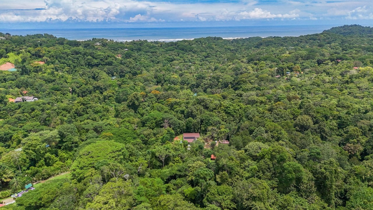 Riverside Jungle Acreage Estate, Ojochal, Puntarenas