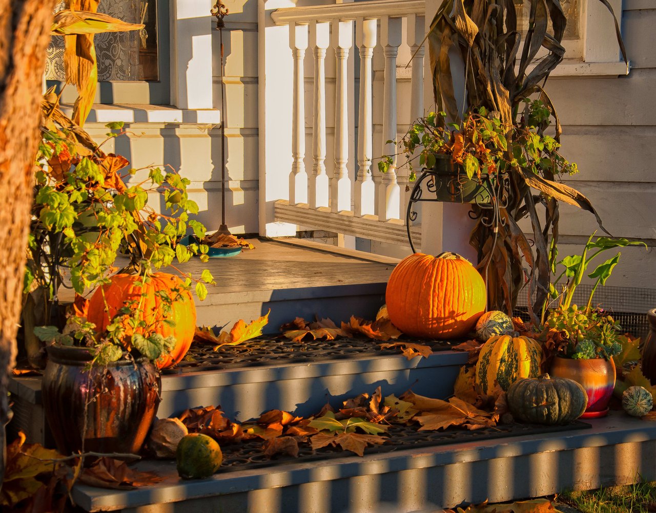 Autumn Landscaping & Decor Ideas
