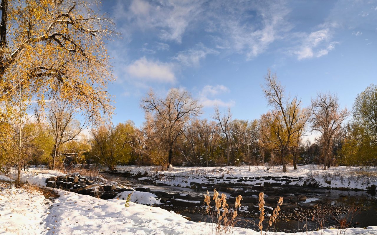 Wheat Ridge