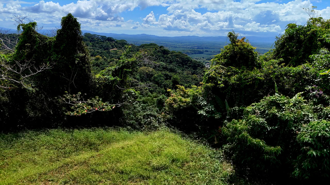 Ocean-View Lot in Chontales – 9,057 m² – Osa, Puntarenas