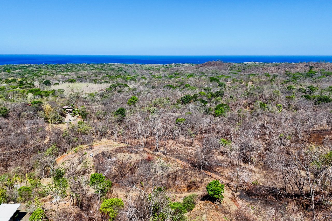 Finca Los Pargos Lot – Oceanview lot with water!, Playa Negra, Guanacaste
