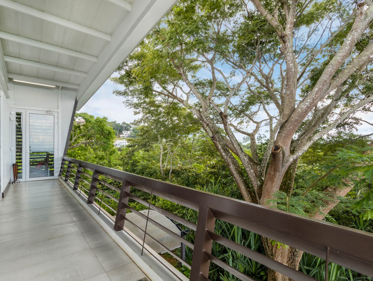 Nativa Contemporary Infinity Views | Luxury Rainforest Estate with Pacific Ocean Views