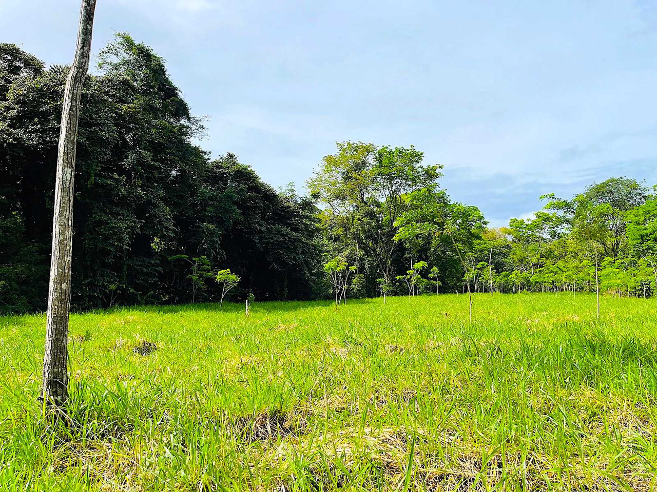 BEST DEVELOPMENT LAND DEAL IN UVITA – 10.67 Acres