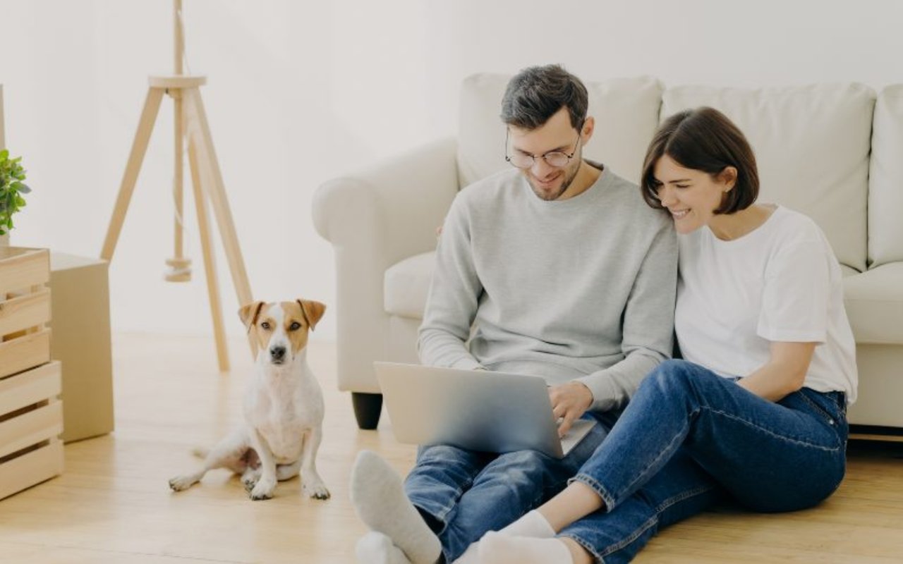 Pets are People, Too