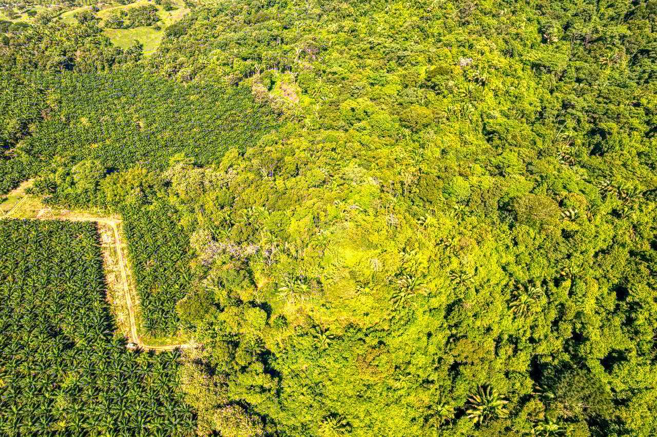 Ocean View Property in Portalon