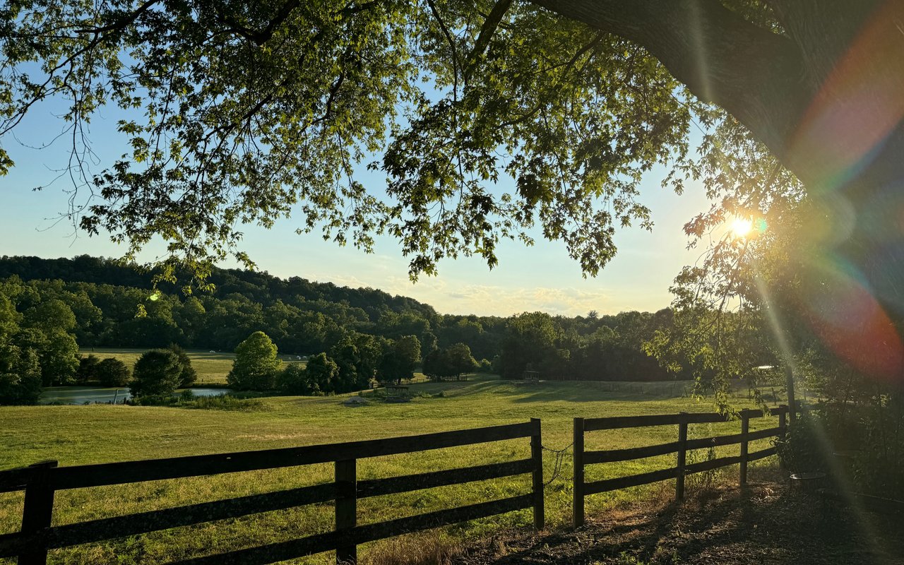 Ballantrae Farms