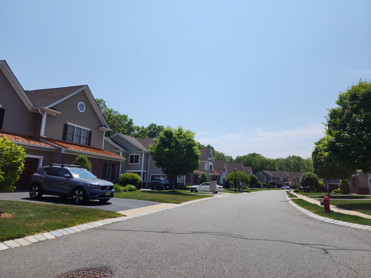 Chatham/Harding Area