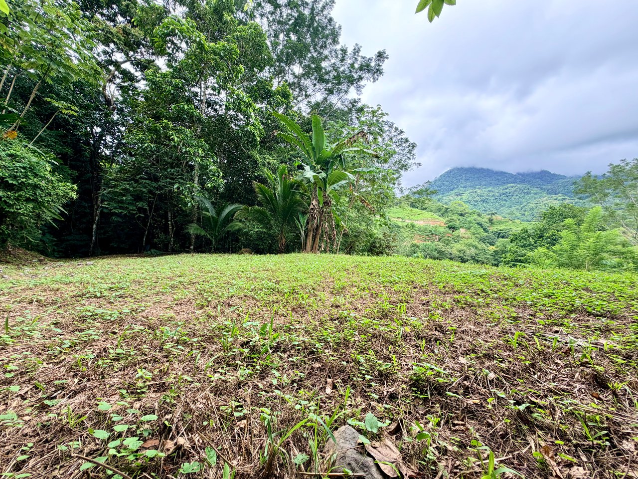 Tres Ríos Jungle Sanctuary | Ready-to-Build Lot Surrounded by Nature