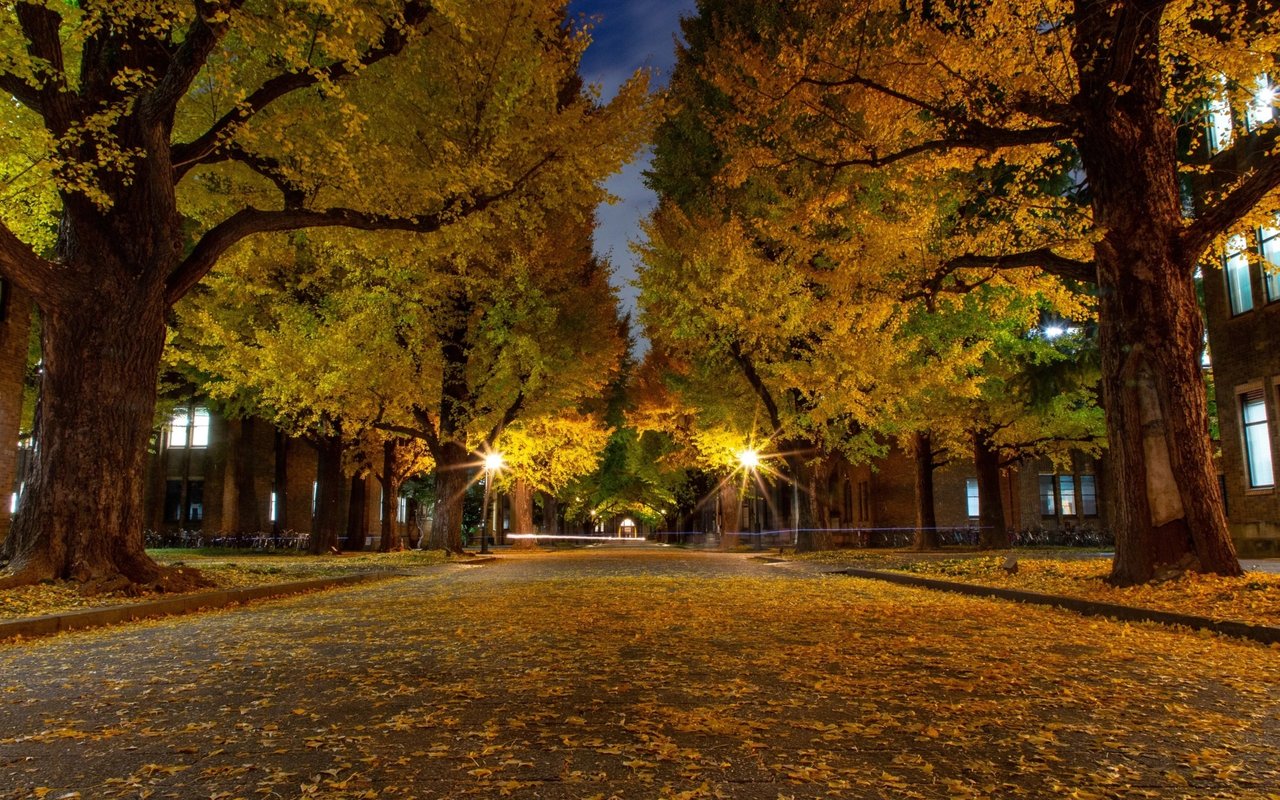 The Top 10 Plants to Fall for This Autumn