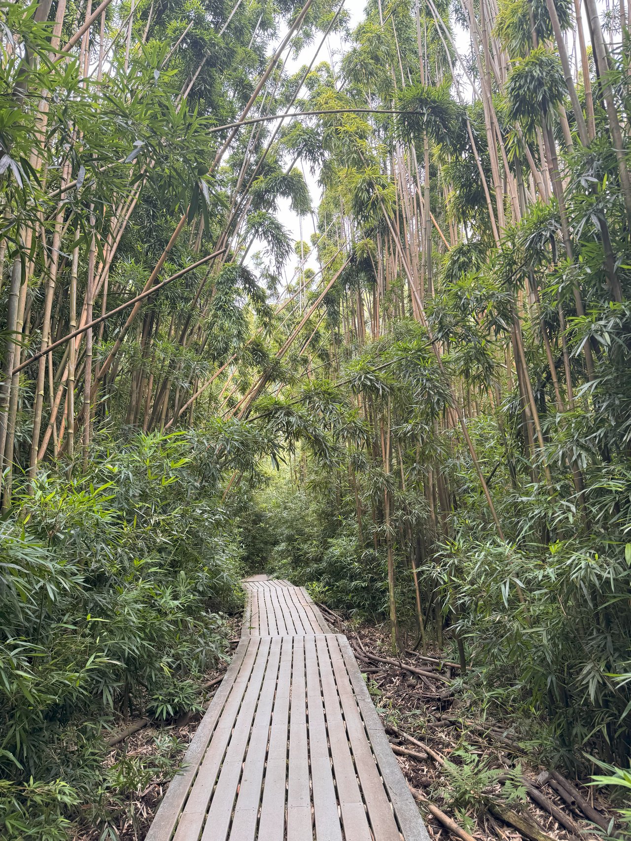 Hiking the Pipiwai Trail in Hana