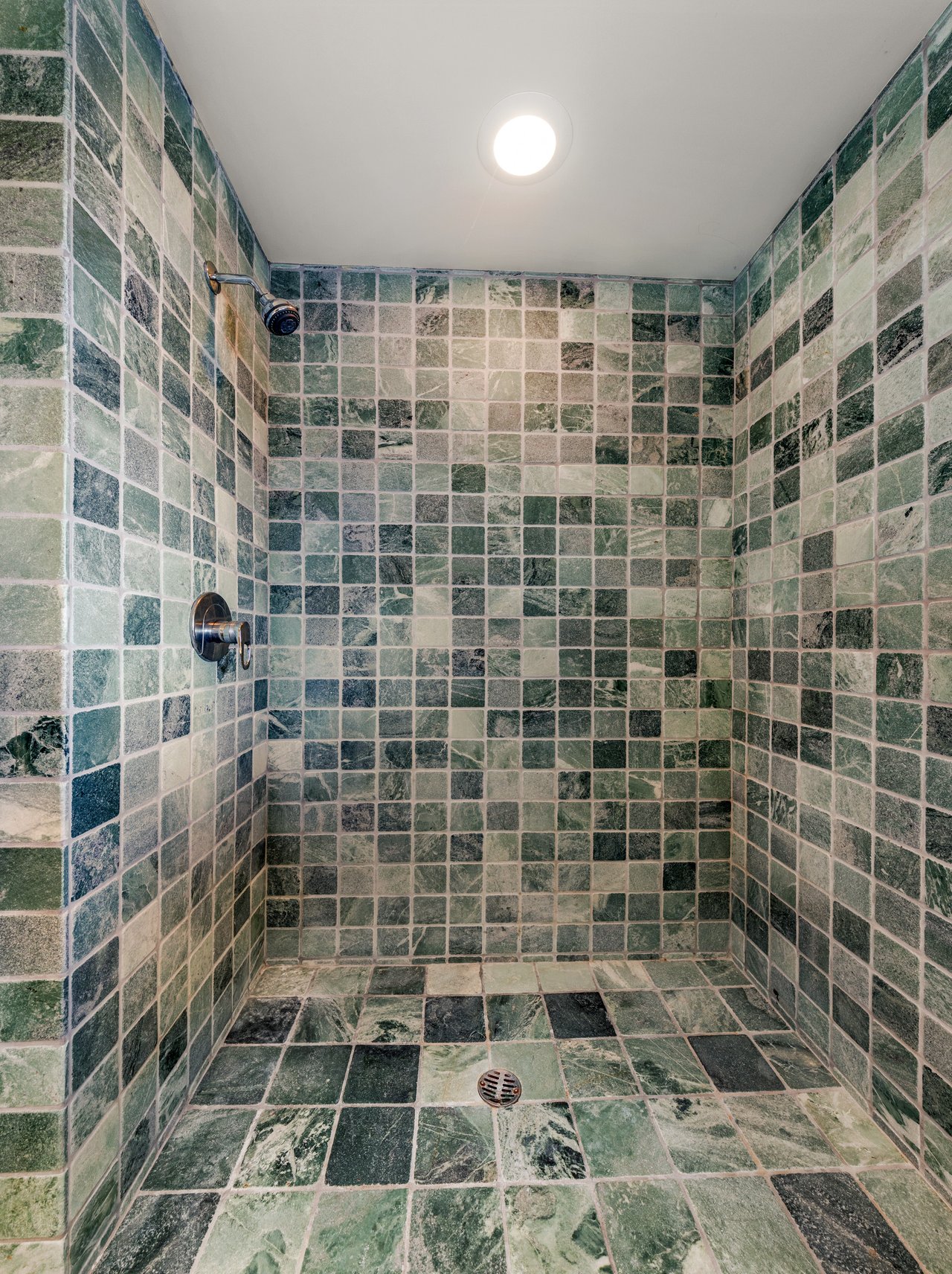 Picturesque Bay Views on Belvedere Island