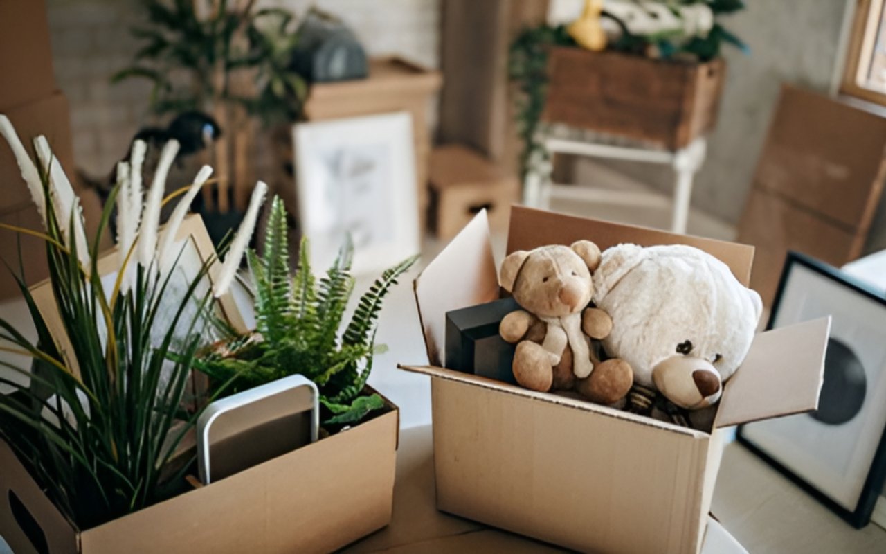 Moving to Georgia? Here’s What Newcomers Need to Know
