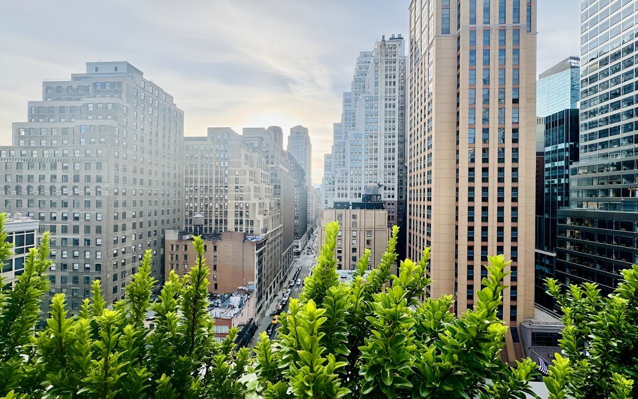 Elegran Manhattan Market Update: September 2024