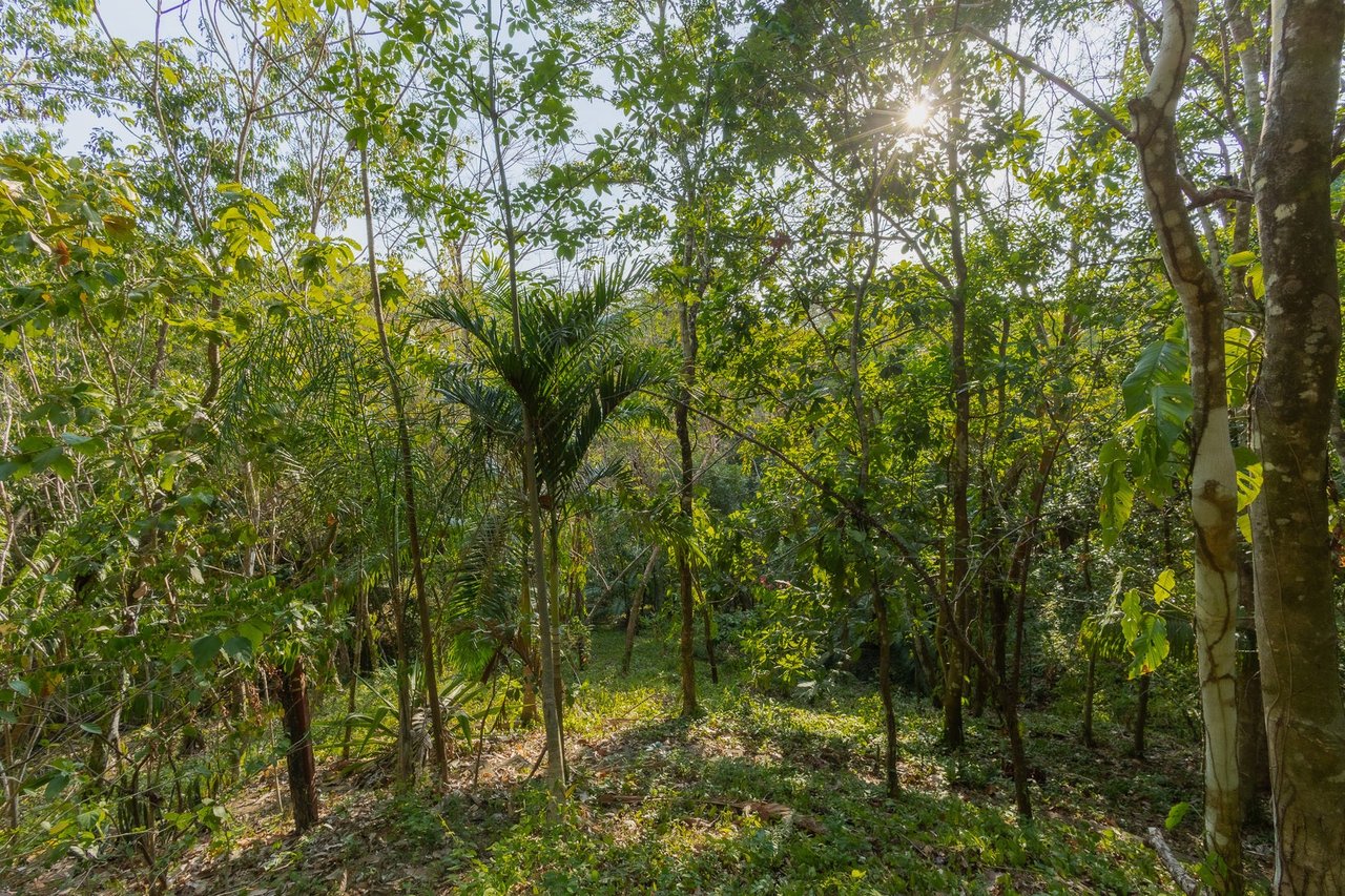 Exclusive Ocean View Development Homesite, Santa Teresa, Puntarenas