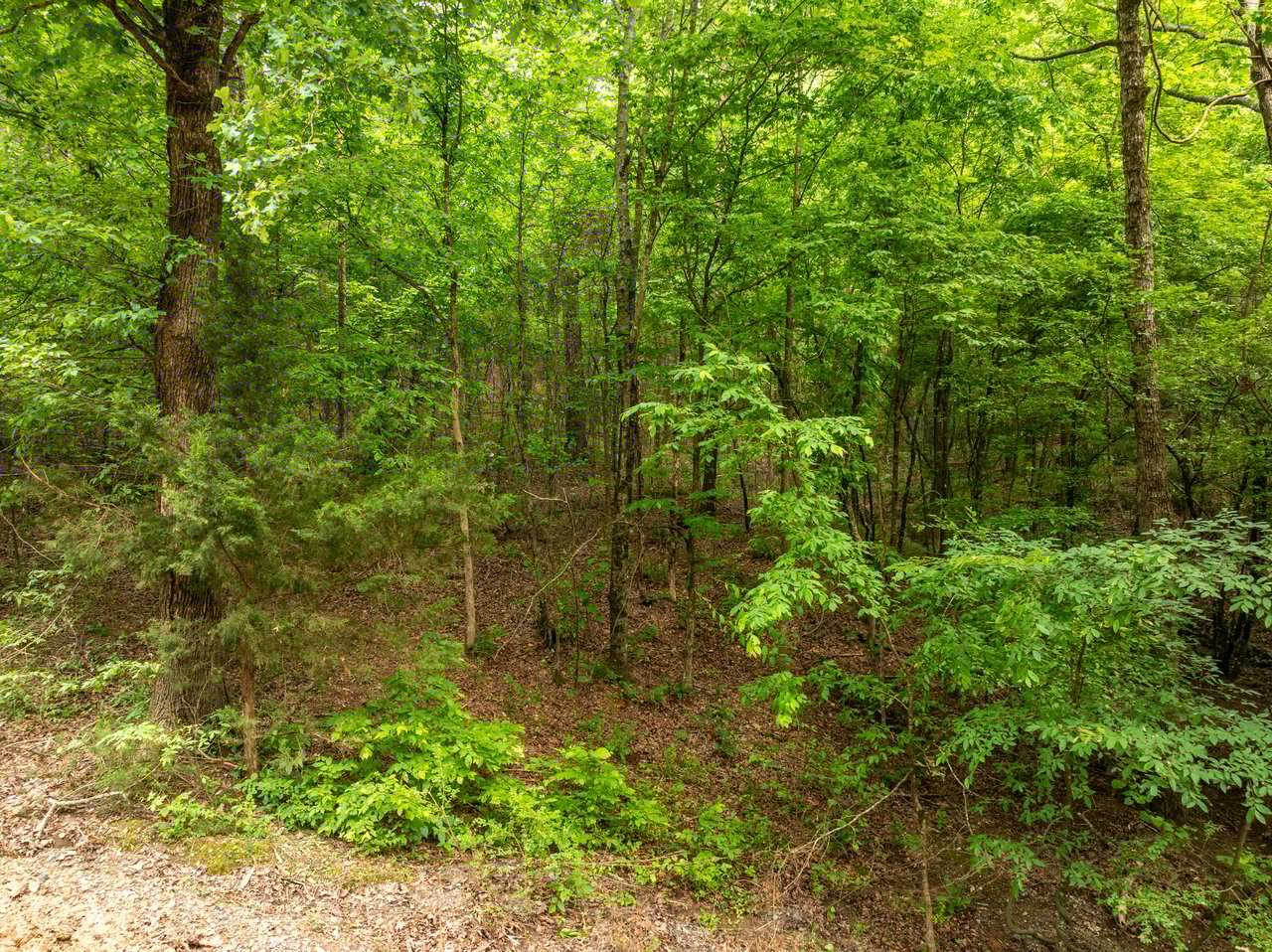 Cross Creek