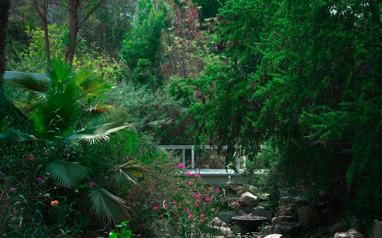 Your Own Private Paradise On One Of The Best Streets In Hasley Canyon – 31050 Burlwood Drive