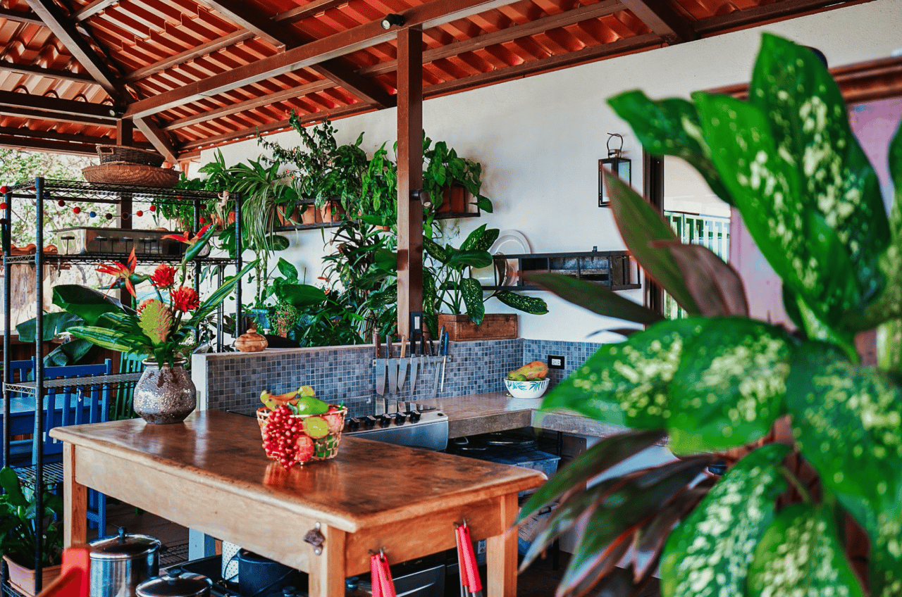 Mountain Oasis Retreat - 4 Acre Oceanview - Tamarindo