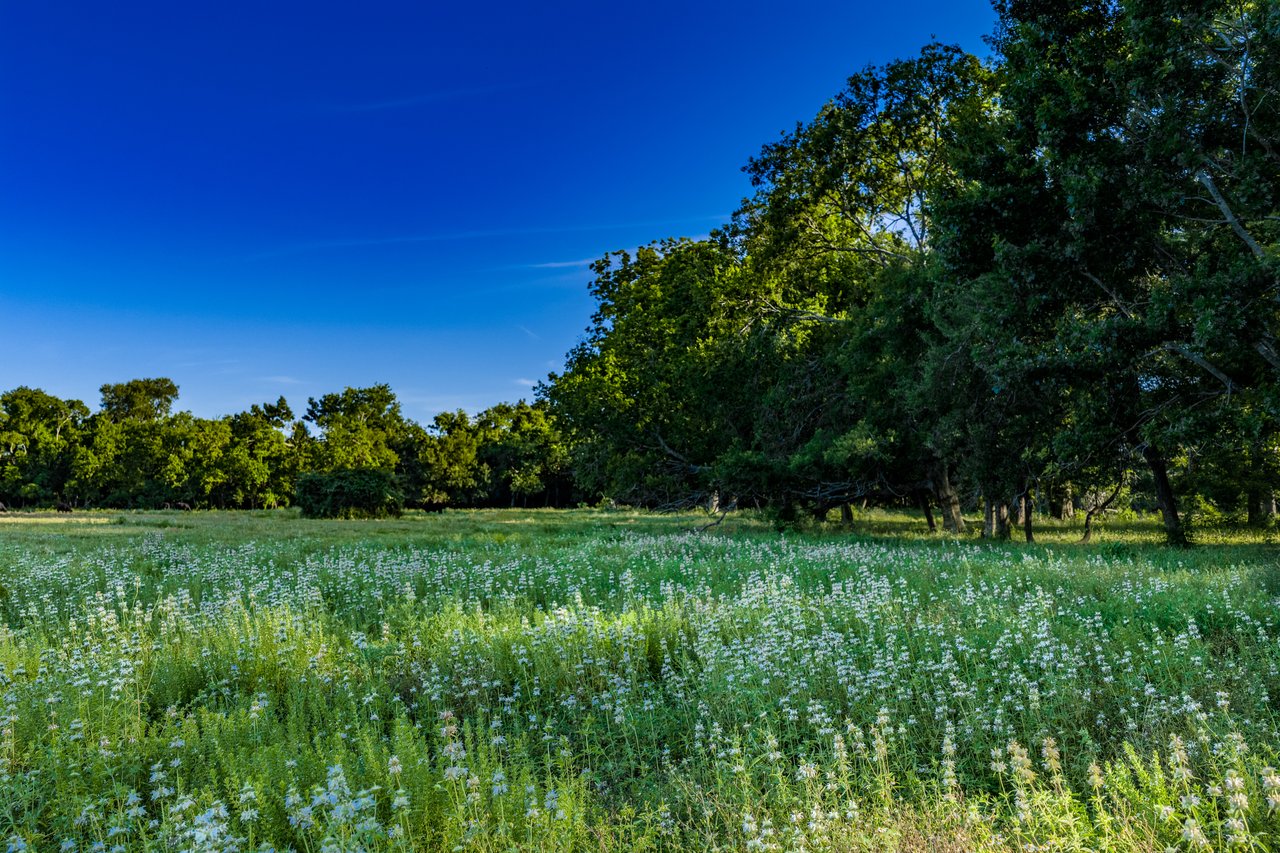 Private Listing: 27.65 Acres in Sugar Land b/w Riverstone & Sweetwater