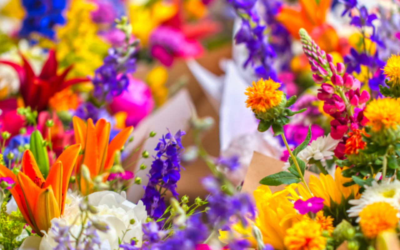 Snohomish County Farmers Markets Schedule 2024