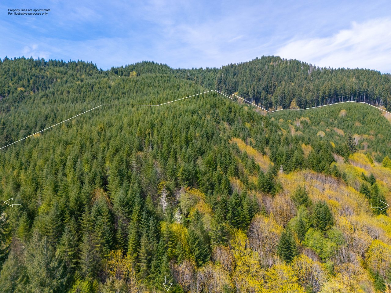 Nelson Mountain Meadows