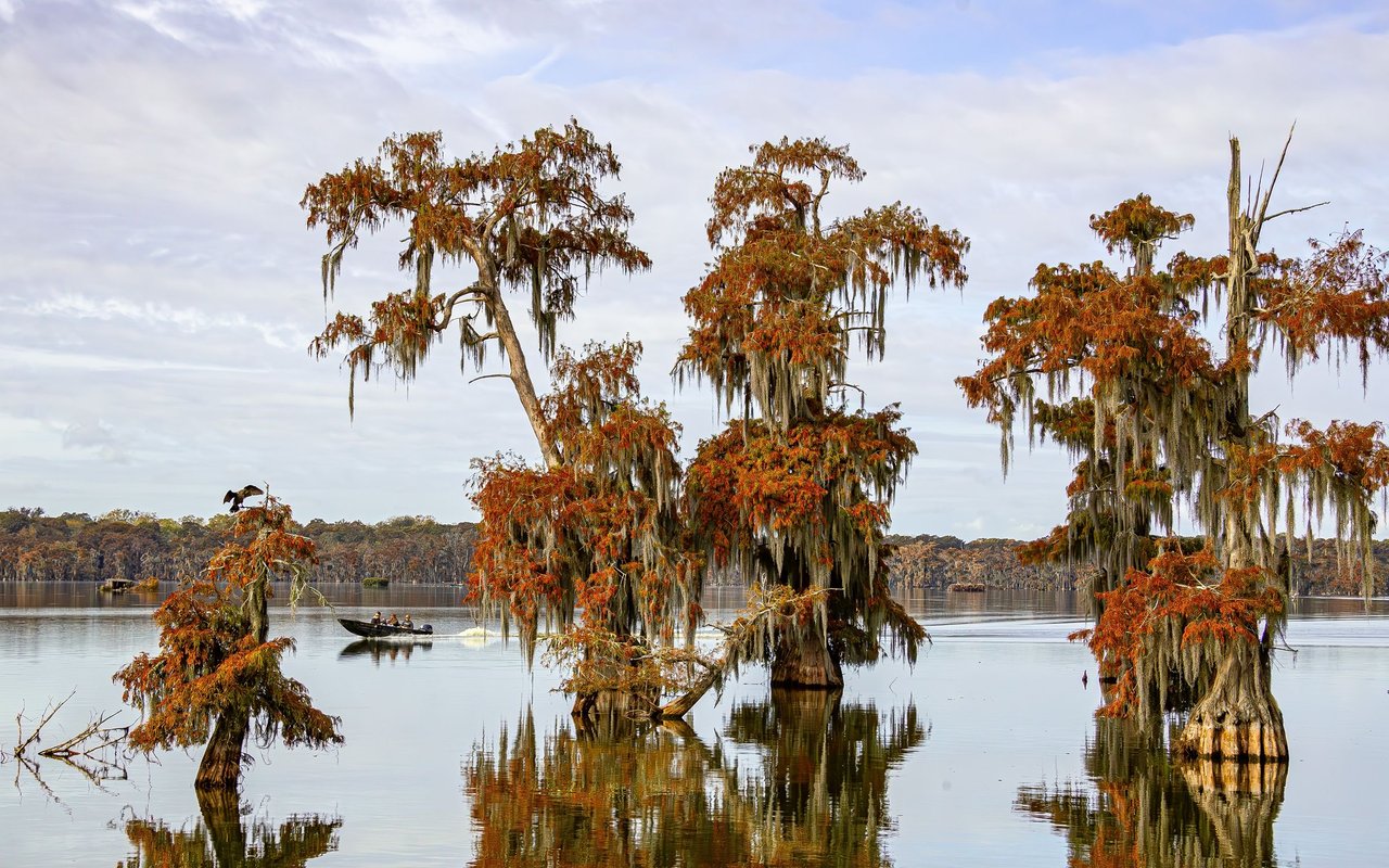 Breaux Bridge