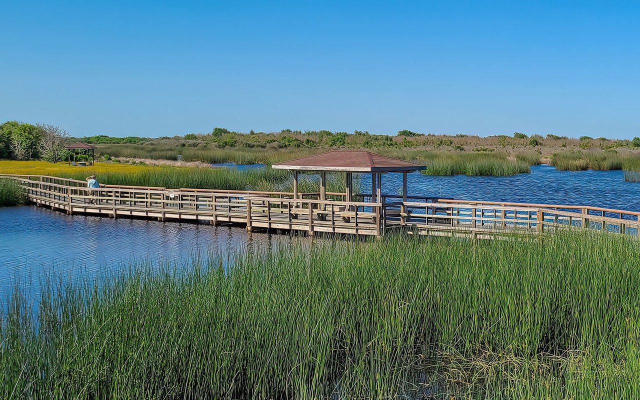 Boardwalk and covered shelter crossing a reed-filled wetland under a clear blue sky.